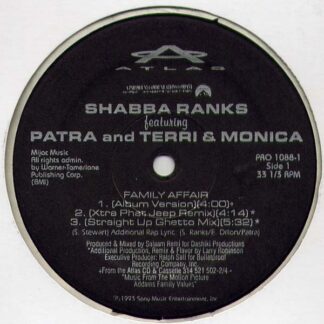 Shabba Ranks ft. Patra And Terri & Monica – Family Affair (Vinyl)