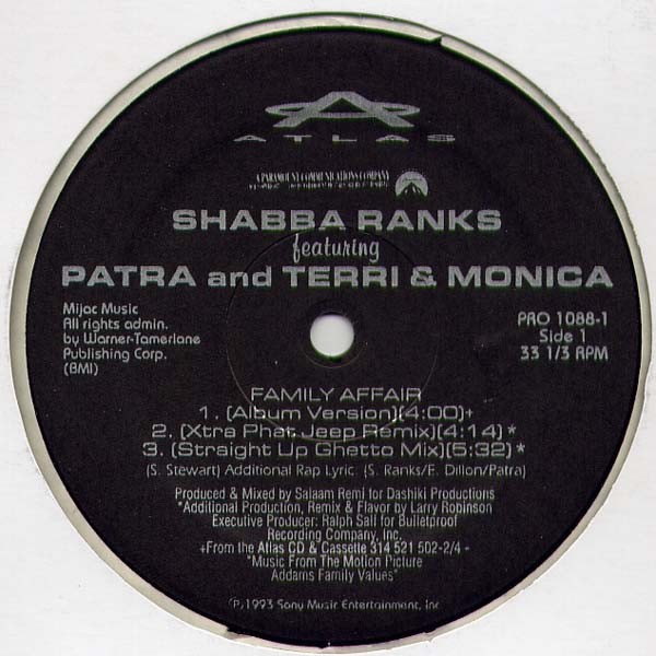 Shabba Ranks ft. Patra And Terri & Monica – Family Affair (Vinyl)