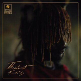 Thundercat - It Is What It Is (Colored Vinyl, Red, 140 Gram Vinyl, Photos)