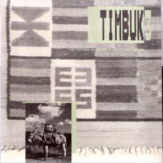 Timbuk 3 – The Future's So Bright, I Gotta Wear Shades (7")