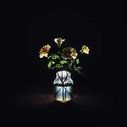 Billy Strings - Renewal (180 Gram Vinyl)