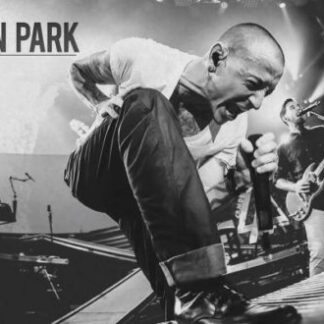 Linkin Park | Live on stage (Poster)