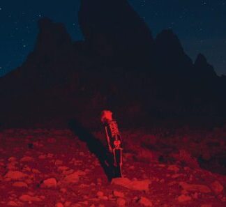 Phoebe Bridgers | Punisher (Poster)
