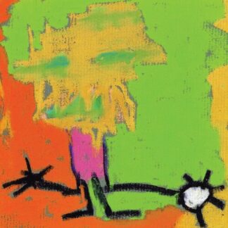 Martin Medeski & Wood - Shack-man (Vinyl)