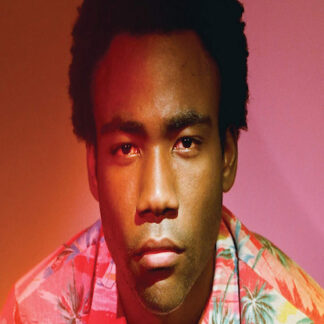 Childish Gambino| Because of the Internet (Poster)