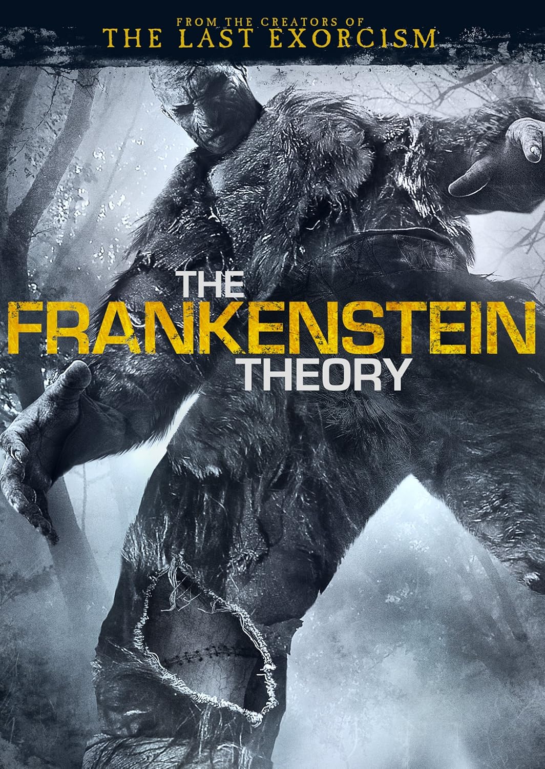 FRANKENSTEIN THEORY (DVD)