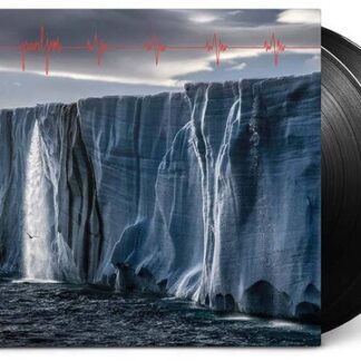 Pearl Jam - Gigaton (Vinyl)