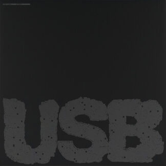 Fred Again - Usb [Explicit Content] (Parental Advisory Explicit Lyrics) (Vinyl)