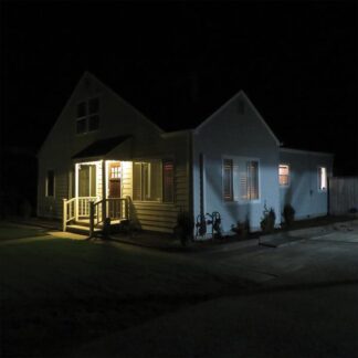 Damien Jurado - What's New, Tomboy? (Colored Vinyl, Indie Exclusive)