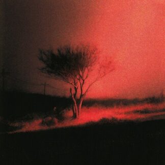 Joji - Piss In The Wind [Explicit Content] (Parental Advisory Explicit Lyrics, Vinyl)