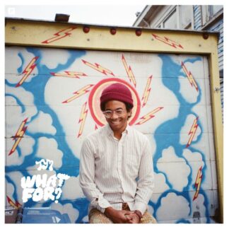 Toro y Moi - What For? (Vinyl)