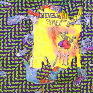 Animal Collective - Ballet Slippers (Vinyl)
