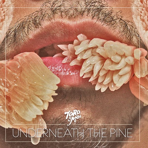 Toro y Moi - Underneath The Pine (Vinyl)