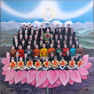 George Harrison – Dark Horse (Vinyl)