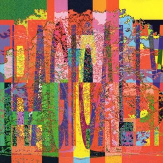 Tragically Hip, The – Music @ Work (CD)