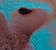 Pink Floyd - Meddle (Gatefold LP Jacket, 180 Gram Vinyl)