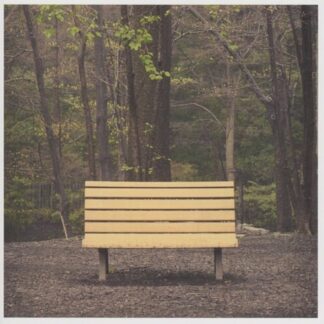 Streetlight Manifesto - The Hands That Thieve (Colored Vinyl)
