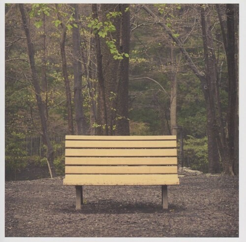 Streetlight Manifesto - The Hands That Thieve (Colored Vinyl)