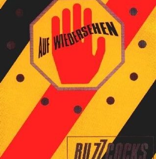 Buzzcocks – Auf Wiedersehen (DVD)