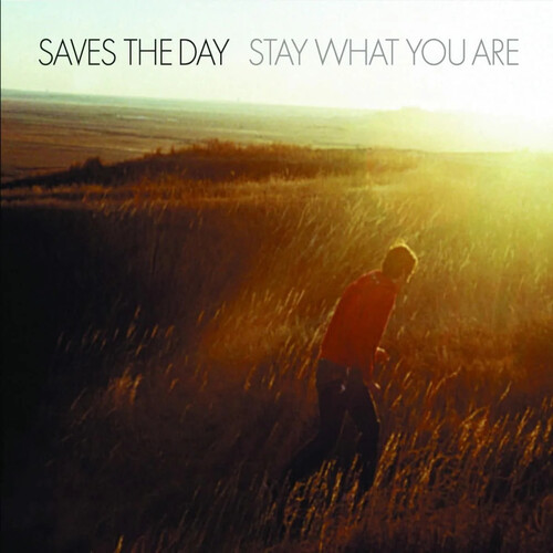 Saves the Day - Stay What You Are (10-Inch Vinyl, United Kingdom - Import)