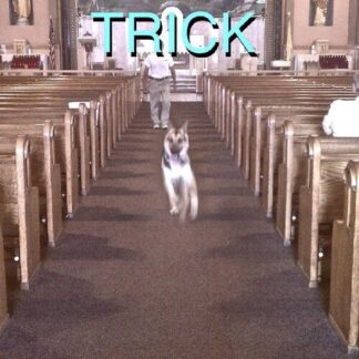 Alex G - Trick (Vinyl, With Bonus 7" Vinyl, Import [United Kingdom])