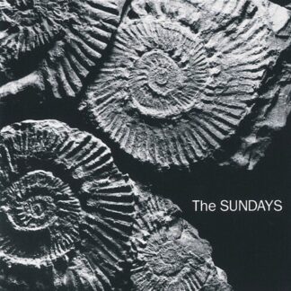 Sundays, The - Reading, Writing, And Arithmetic (Colored Vinyl, Silver)