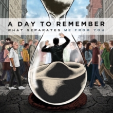 A Day to Remember - What Separates Me from You (Vinyl)