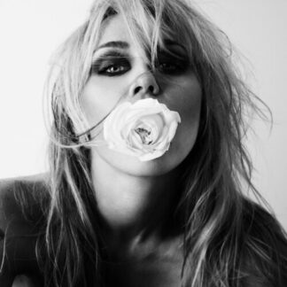 MILEY - Bass Persuades (CD) *Pre-Order*