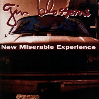 Gin Blossoms – New Miserable Experience (CD)