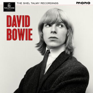 David Bowie - The Shel Talmy Recordings (180 Gram Vinyl, Limited Edition)