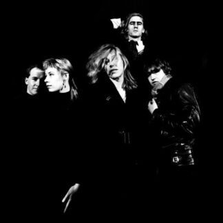 Go-Betweens, The - Fountains of Youth - Live at the Town and Country Club (Vinyl)