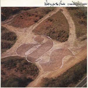Armoury Show, The ‎– Waiting For The Floods (Vinyl)