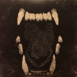 Roger Bryan And The Orphans – Wolves (CD)