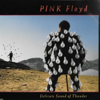 Pink Floyd – Delicate Sound Of Thunder (2CD)
